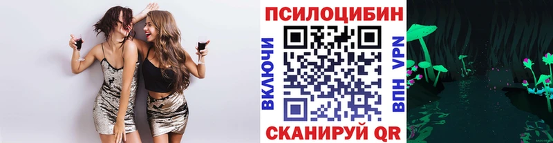 Галлюциногенные грибы Psilocybe  KRAKEN ONION  Серафимович  где продают наркотики 